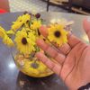 celinag28