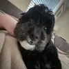 lilyclarky01