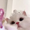 tinascameraroll