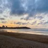 marinatamargoo