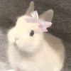 ruth.isabelll