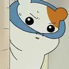 livelovelaughpookiehafti