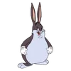linuscattips