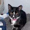 omlthisiscrazy