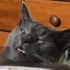 itzastral_
