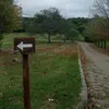 trinigutierrez21