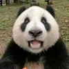 majodomlol