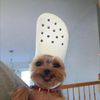 superstarzazian