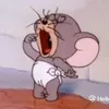 hanniehae0000