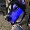 shadoweyes916