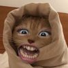 ggimchee