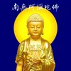 Nền giáo dục Phật Đà 🪷
