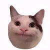 kianmavs