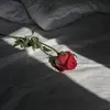 ross_ref