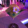 junglefood