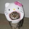 hellokittyvamplover