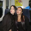 amaracimenx