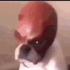 perkeesex