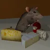miriam74ndr