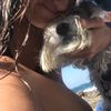 luisabarberaa