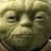 lilavocadotoast
