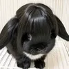 squigglykat