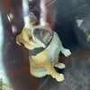 iwanttobeasinger6