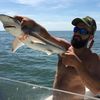 dilly_dilly_5.0