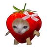 str4berryred