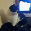 drama.queen097