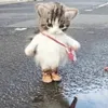 lilzuhhhh
