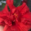 natalie_official08