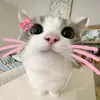 cataleyarivera