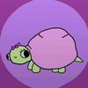 bella_habes