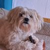 matt_992