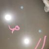 jaybird_luv