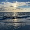 blublu336