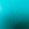 thatlm1