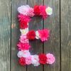 em.n26