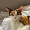 inesvaldivieso