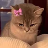 viooleeta7