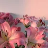 betueloez