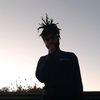 link_in13