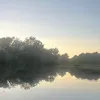 dletedaccnt98