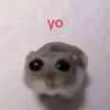 mxrtina3489