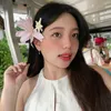 th.giaang