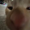piecesofandrew