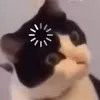 miumiu.2026