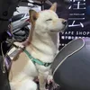 shibainuouo