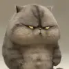 erosvn